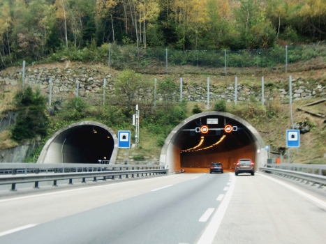 Tunnel de Naxberg