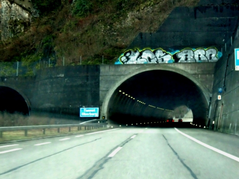 Oberburg Tunnel northern portals