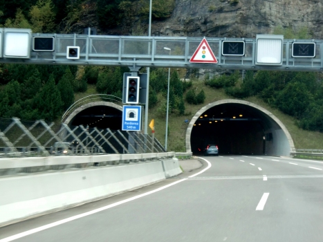Pardorea Tunnel southern portals