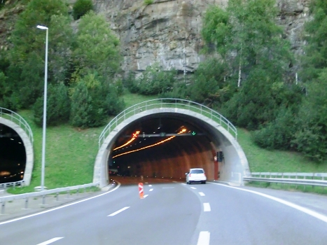 Pardorea Tunnel southern portal