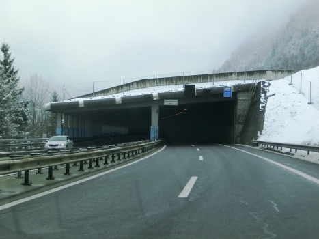 Pfaffensprung Tunnel southern portal