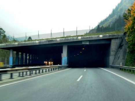 Ripplistal Tunnel southern portals
