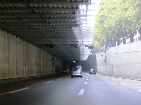 Tunnel de Schweizerhalle