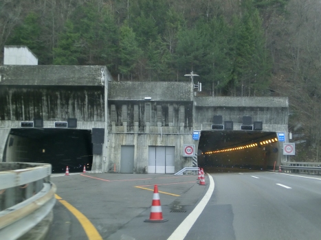 Seelisberg Tunnel southern portals