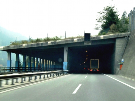 Tunnel de Wilerplanggen