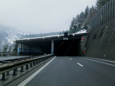 Wilerplanggen Tunnel southern portal