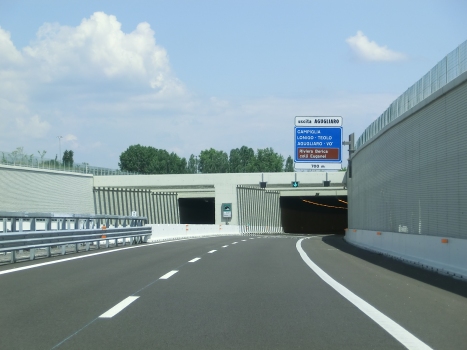 Agugliaro Tunnel southern portals