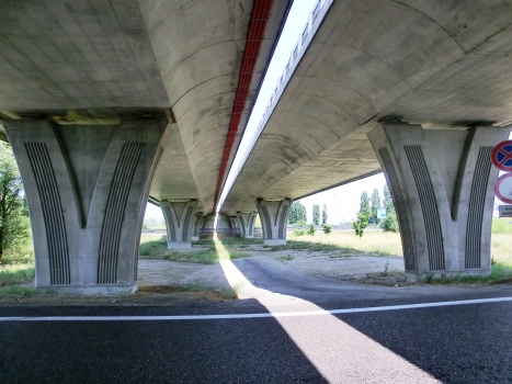 Costigliole Govone Viaduct