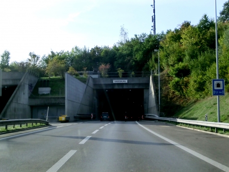 Habsburg Tunnel eastern portals