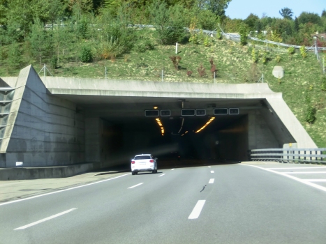 Tunnel d'Uetliberg