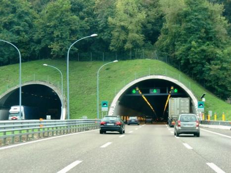 Madonna dei Berici Tunnel eastern portals