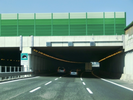 Moglianese Tunnel