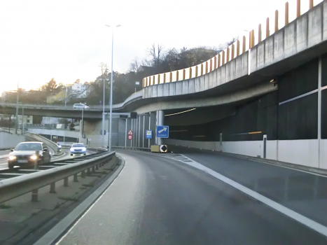 Tunnel Schoenenberg