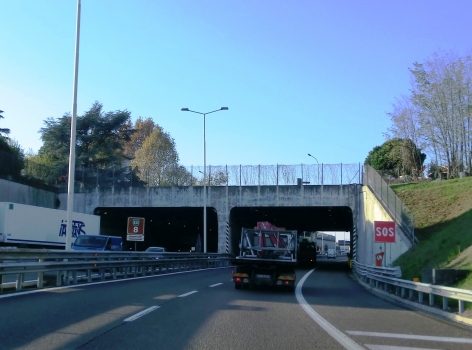 Viganò De Vizzi Tunnel eastern portals