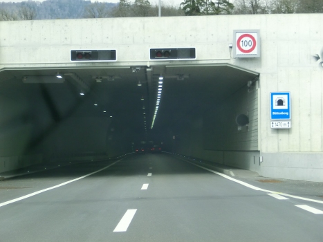 Büttenberg Tunnel southern portal