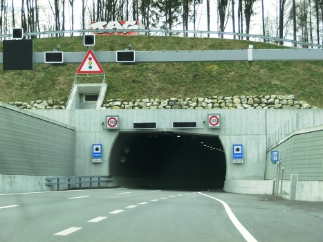 Langholz Tunnel northern portal