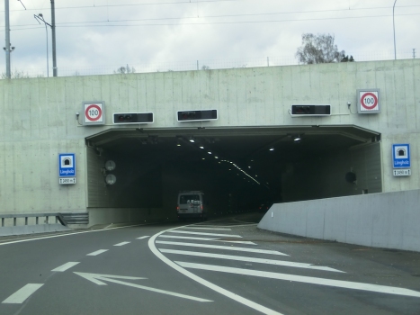 Langholz Tunnel southern portal