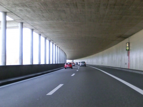 Leuzigen Tunnel