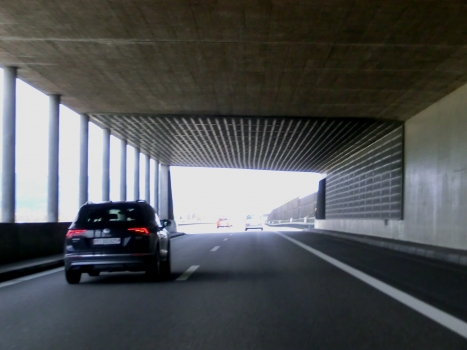 Tunnel de Leuzigen