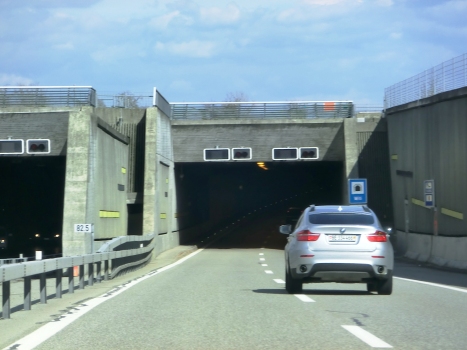 Witi Tunnel western portal