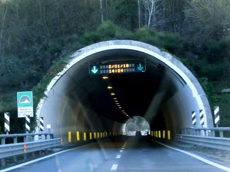 Biestro Tunnel southern portal