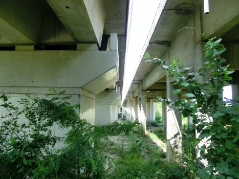 Branzola Viaduct