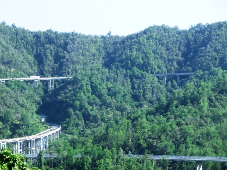 Gogole Viaduct (up to the left), Serre I Viaduct (up to the right). Gaggio Viaduct (down to the left) and Vallone Teccio Viaduct Viaduct (down to the right)