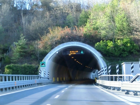 Gronda Tunnel southern portal