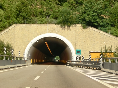 Tunnel Merica
