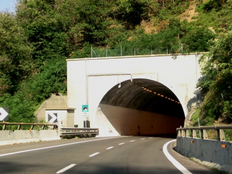 Nigiu Tunnel western portal
