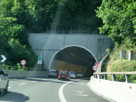 Pagliera Tunnel southern portal