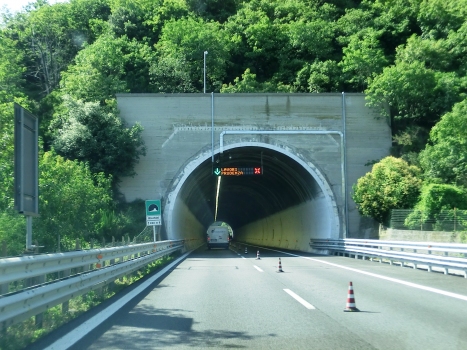 Tunnel de Ricchini