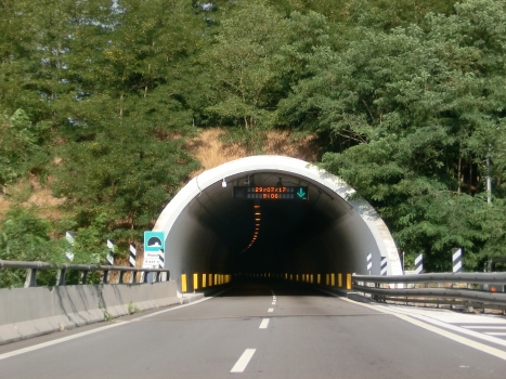 Ronchi Tunnel eastern portal