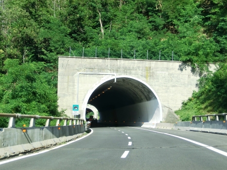 Tascé Tunnel western portal