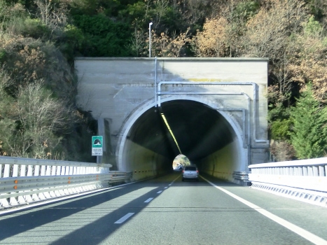 Vaneusa Tunnel southern portal