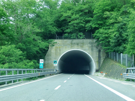 Tunnel de Vapea