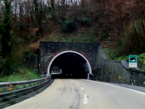 Balletto Tunnel northern portal