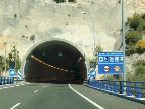 Marchante tunnel western portal
