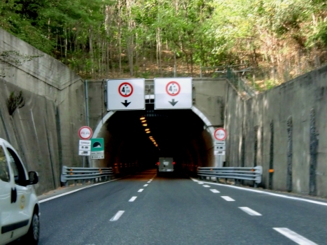 Tunnel Monte Galletto