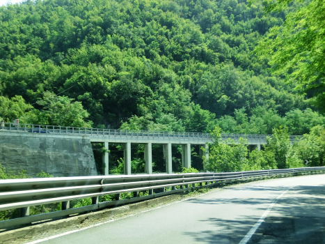 Autobahnbrücke über den Rio Teglia