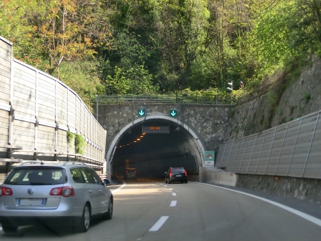 Zella Tunnel southern portal