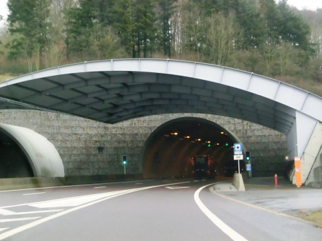 Tunnel Grouft