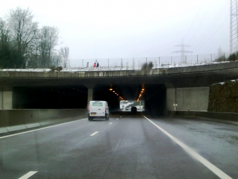 Rengelbur Ecoduct northern portal