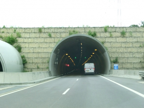 Stafelter Tunnel northern portal