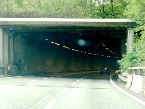 Dorbié Tunnel easterm portals