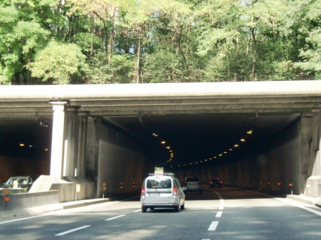 Mambrino Tunnel western portals