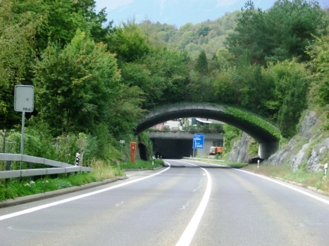 Brienzwiler Wildlife Crossing and, in the back, Muhlefluh Tunnel eastern portals