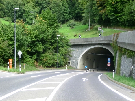 Soliwald Tunnel northern portal
