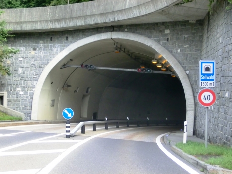 Soliwald Tunnel northern portal
