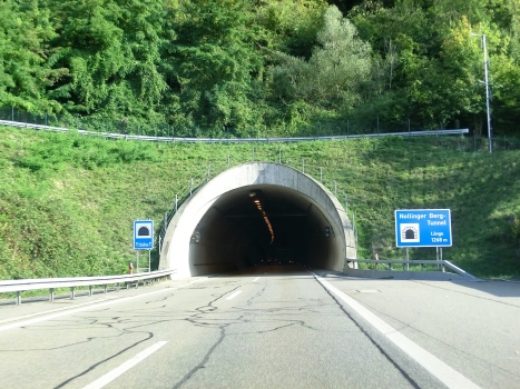 Nollinger Berg Tunnel southern portal